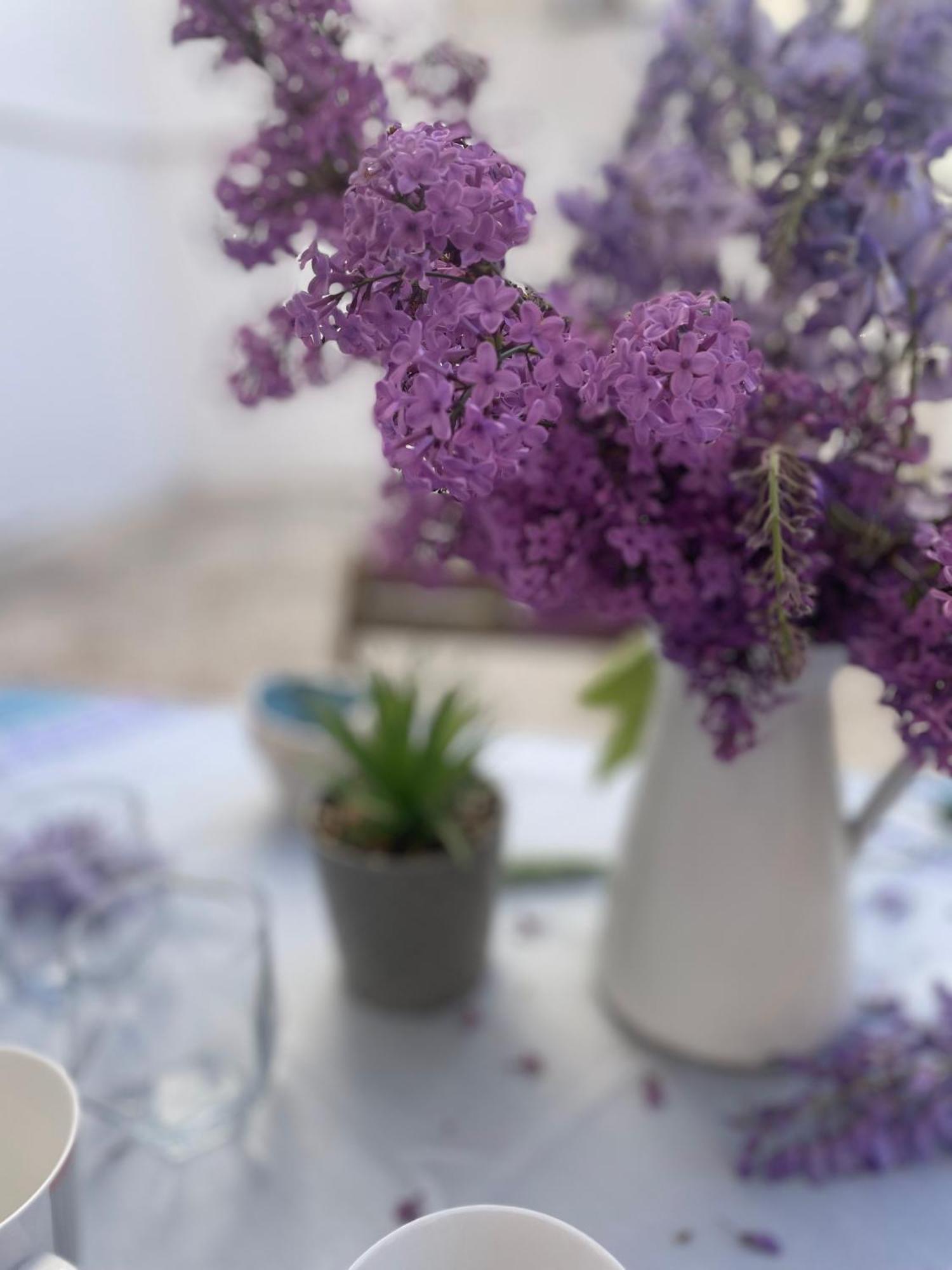 Vespahome كافالا المظهر الخارجي الصورة